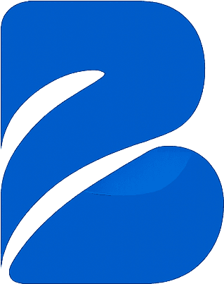 Braxvio Logo